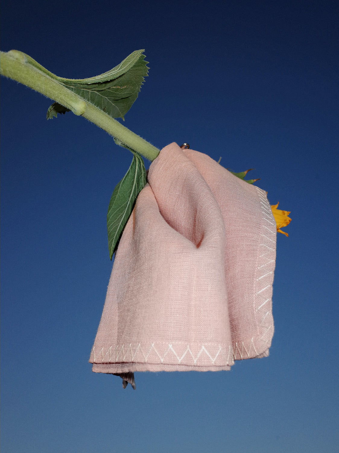Julia Napkin (Set Of 6)